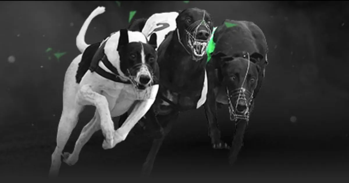 张雨霏,米蝶泳遗憾,错失领奖台,皇冠体育,皇冠体育平台,体育博彩,皇冠体育投注,实时赛事投注,体育投注