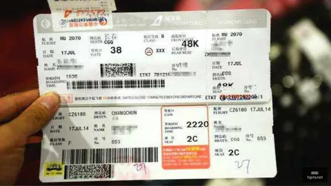 尼克斯球员布里奇斯30岁庆典：钛合金人贺寿，生涯全程全勤回顾